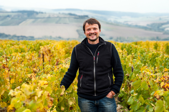 Domaine d'Édouard: i grandi Borgogna dell'Auxerrois, importati da Stefano Sarfati