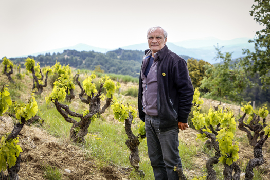 Domaine Richaud, Cairanne: grandi vini del Rodano importati da Stefano Sarfati