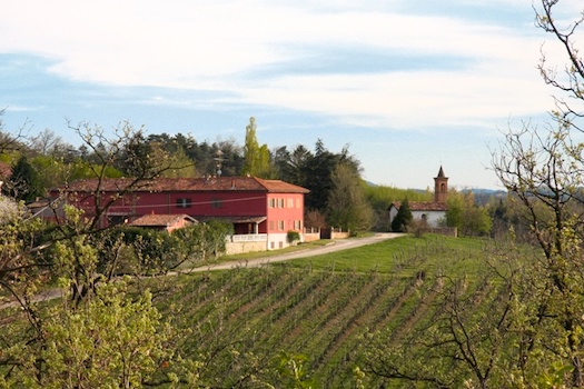 Ca' del Conte, Oltrepò naturali di territorio, distribuiti da Stefano Sarfati