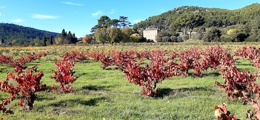 Château Sainte-Anne, Bandol, Provenza