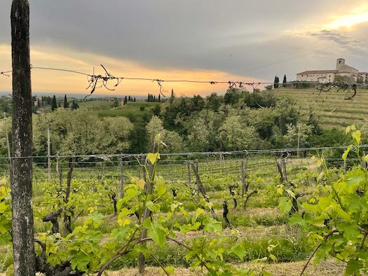 Sassocorno, Corno di Rosazzo, Friuli