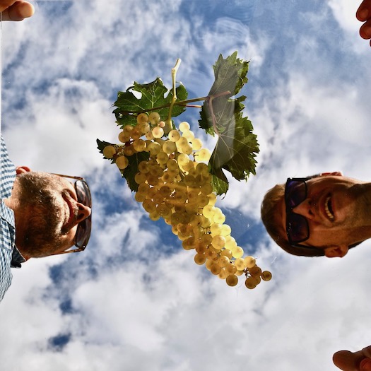 Tenuta De Sterlich: l'autenticità dei vini d'Abruzzo, distribuiti da Stefano Sarfati