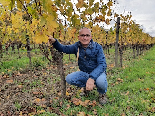 Château de Bouillerot, dall'Entre-Deux-Mers dei Bordeaux sorprendenti, importati da Stefano Sarfati