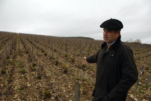 Champagne Étienne Sandrin, Celles-sur-Ource, Côte des Bar, Aube, importato da Stefano Sarfati