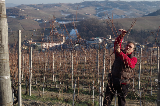 cantina barolo giovanni canonica