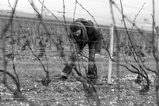 Charles Dufour, Champagne a Landreville (Côte des Bar)