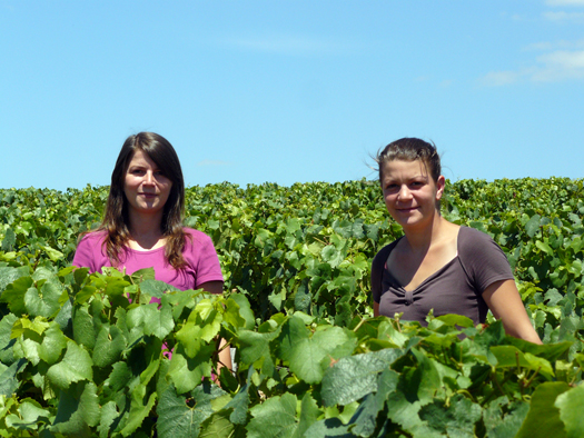 domaine oudin chablis borgogna stefano sarfati